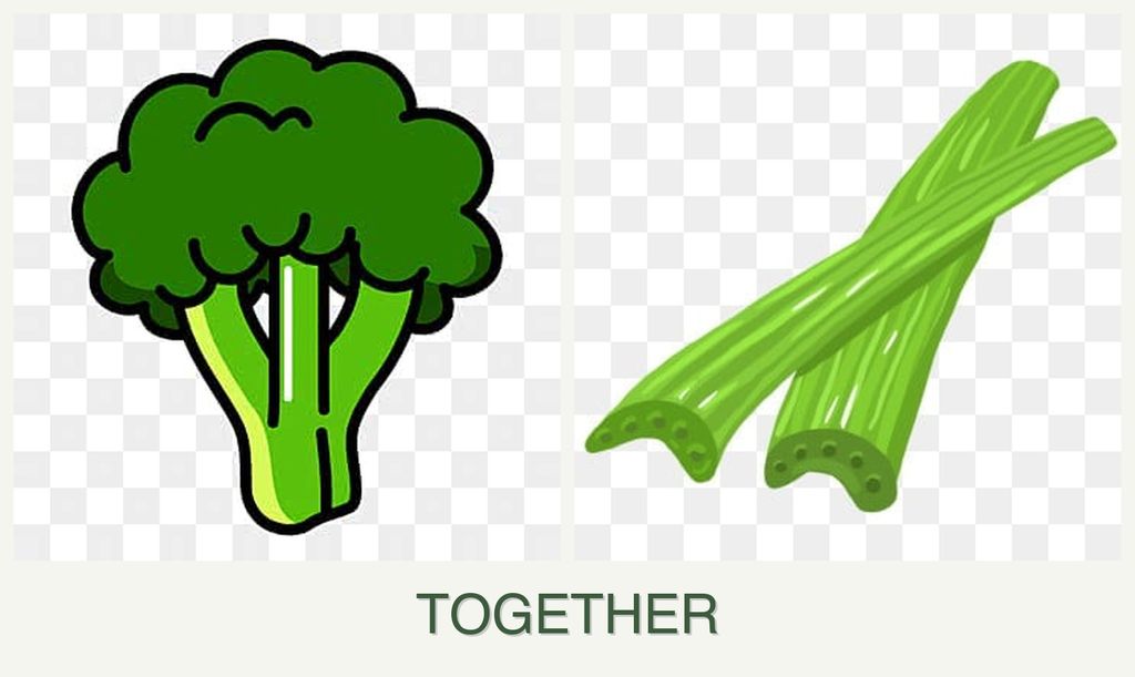 Can you plant broccoli and celery together?