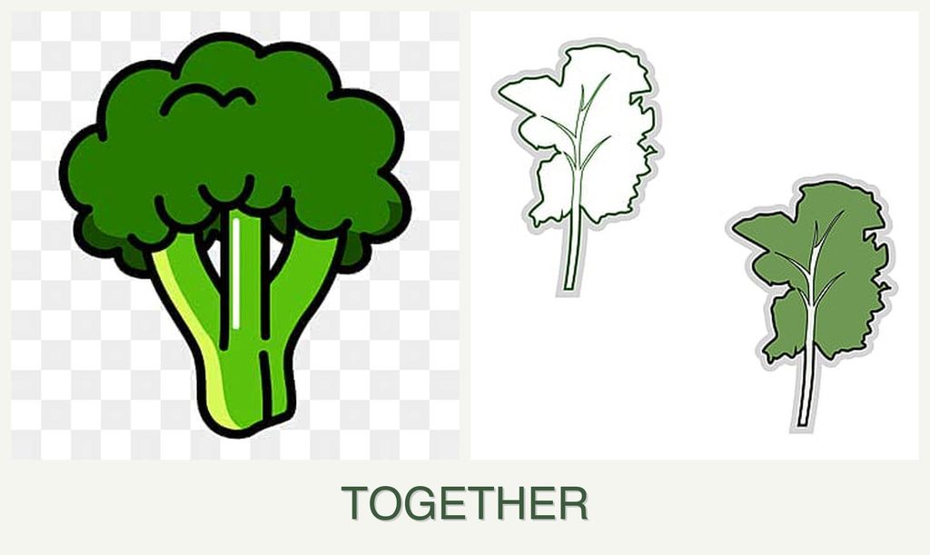 Can you plant broccoli and kale together?
