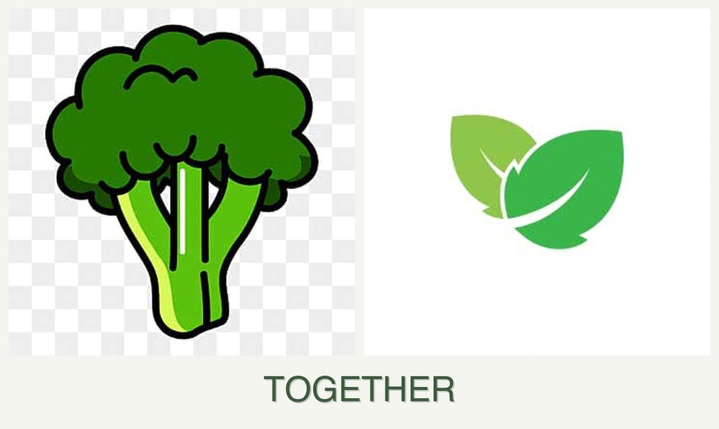 Can you plant broccoli and mint together?