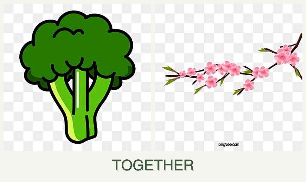 Can you plant broccoli and peaches together?