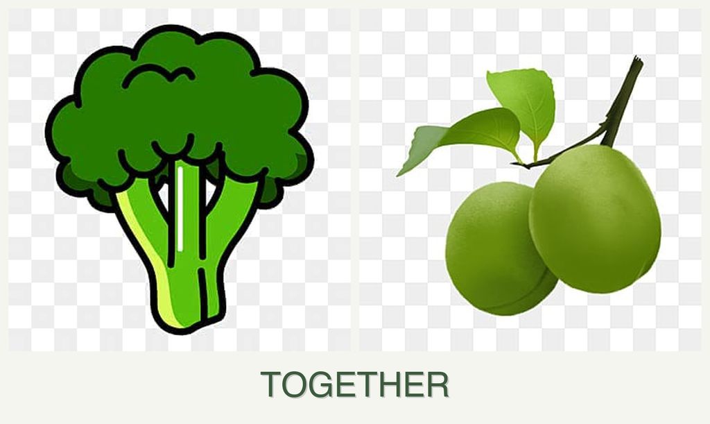 Can you plant broccoli and plums together?