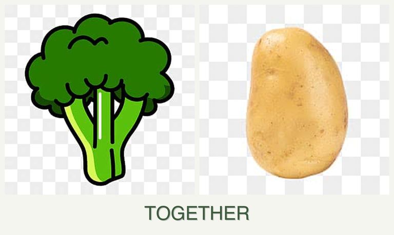 Can you plant broccoli and potatoes together?