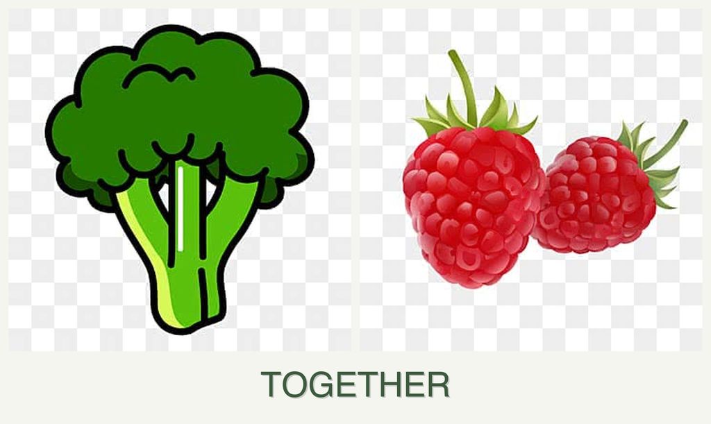 Can you plant broccoli and raspberries together?