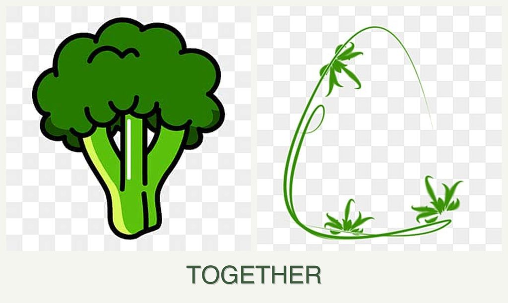 Can you plant broccoli and tarragon together?