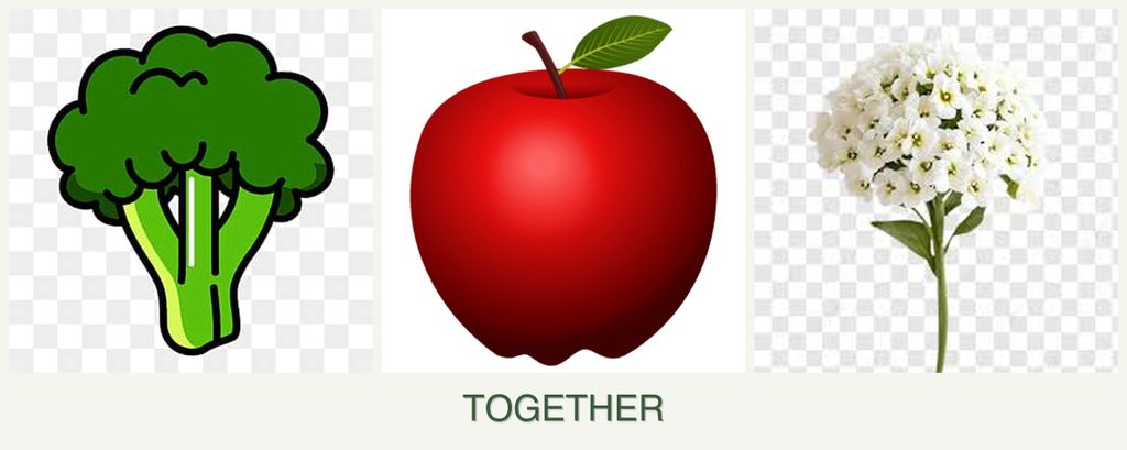 Can you plant broccoli, apples and alyssum together?