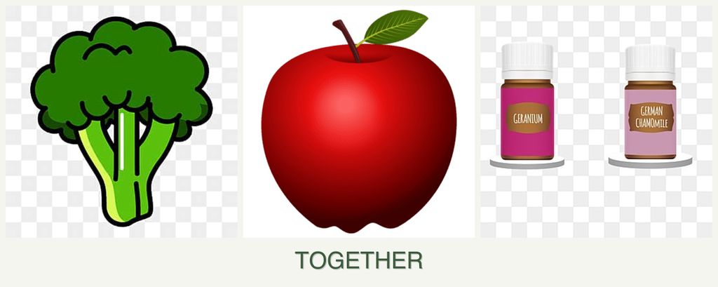 Can you plant broccoli, apples and geraniums together?