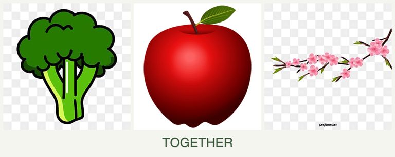Can you plant broccoli, apples and peaches together?