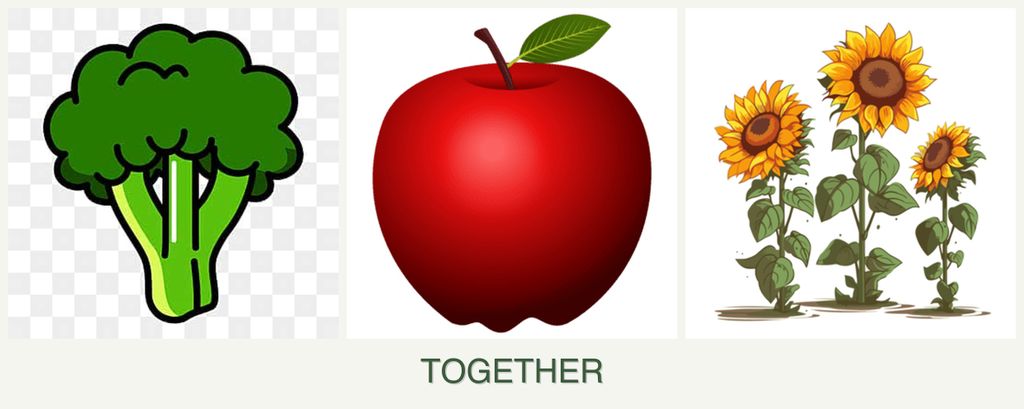 Can you plant broccoli, apples and sunflowers together?