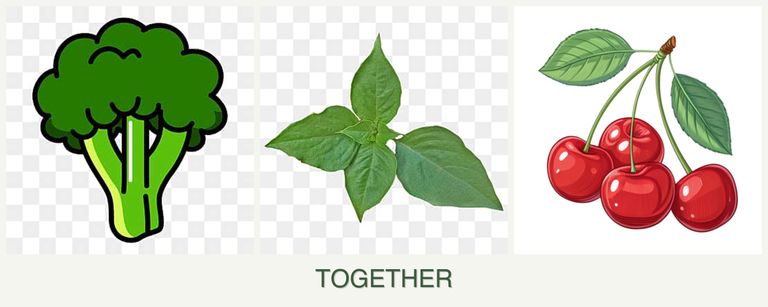 Can you plant broccoli, basil and cherries together?