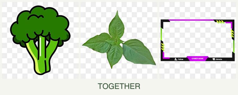 Can you plant broccoli, basil and limes together?