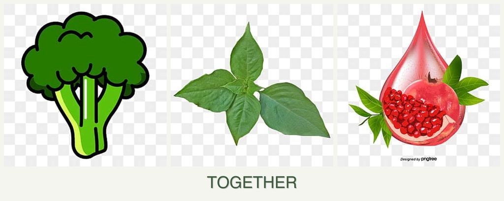 Can you plant broccoli, basil and pomegranates together?