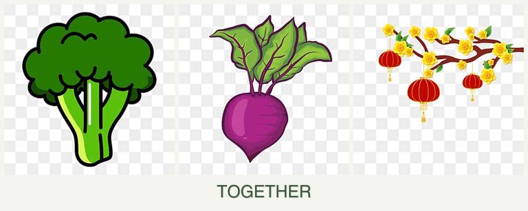Can you plant broccoli, beets and apricots together?