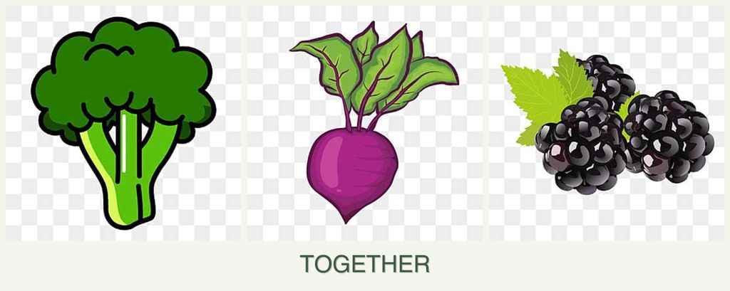 Can you plant broccoli, beets and blackberries together?