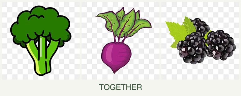 Can you plant broccoli, beets and blackberries together?