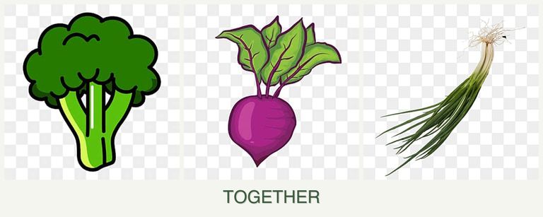 Can you plant broccoli, beets and chives together?
