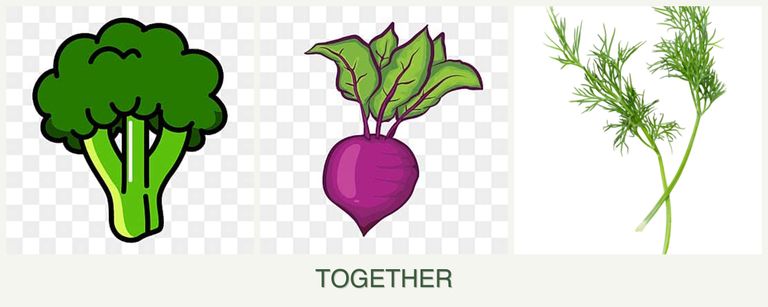 Can you plant broccoli, beets and dill together?