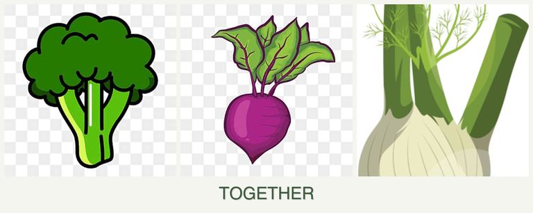 Can you plant broccoli, beets and fennel together?