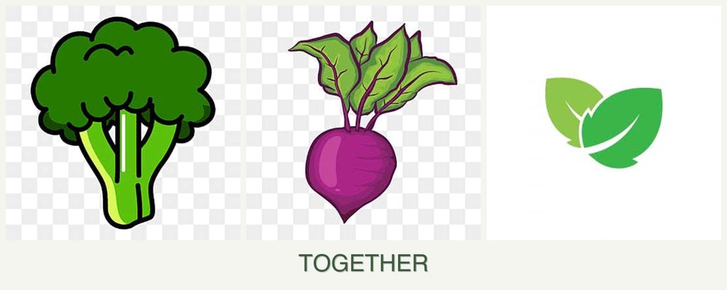 Can you plant broccoli, beets and mint together?