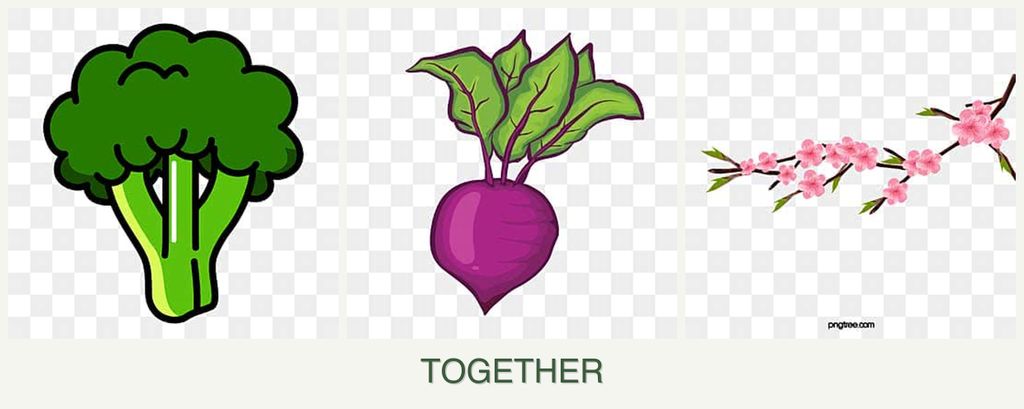Can you plant broccoli, beets and peaches together?