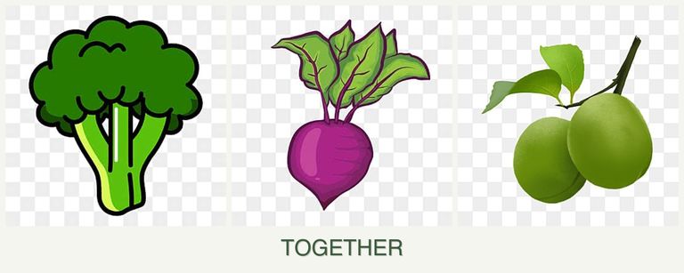 Can you plant broccoli, beets and plums together?