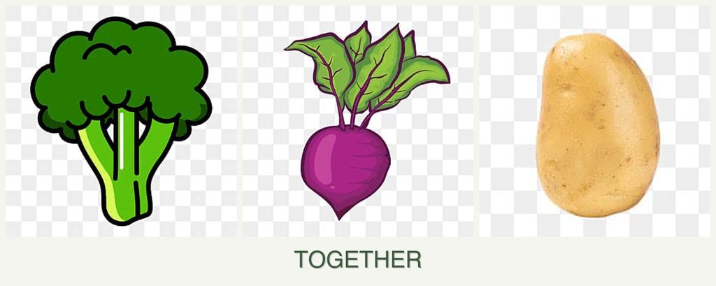 Can you plant broccoli, beets and potatoes together?