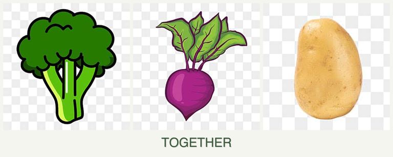 Can you plant broccoli, beets and potatoes together?