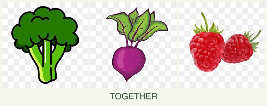 Can you plant broccoli, beets and raspberries together?