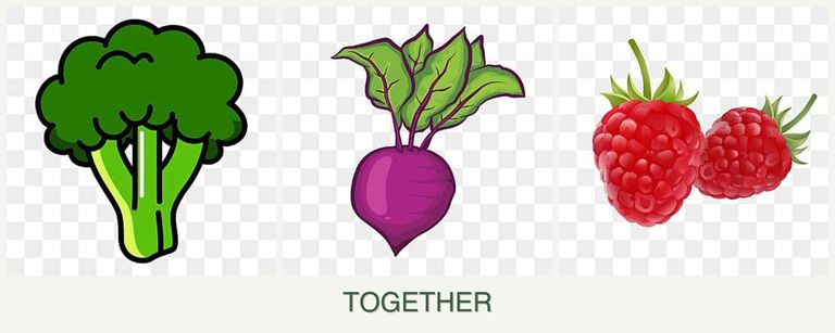 Can you plant broccoli, beets and raspberries together?