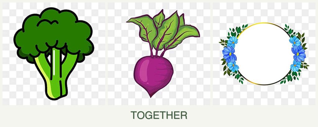 Can you plant broccoli, beets and zinnias together?