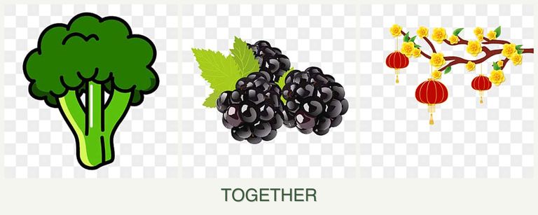 Can you plant broccoli, blackberries and apricots together?