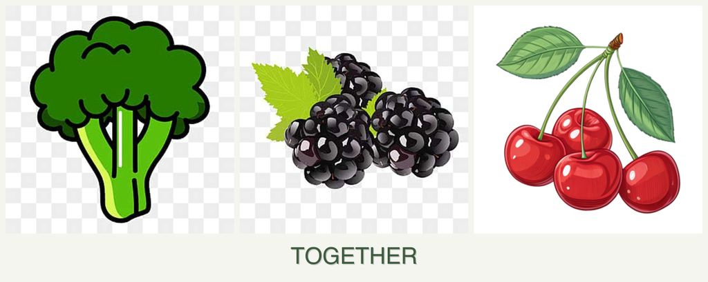 Can you plant broccoli, blackberries and cherries together?