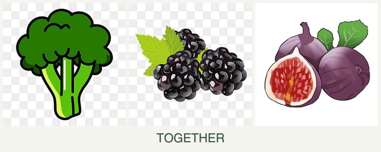 Can you plant broccoli, blackberries and figs together?