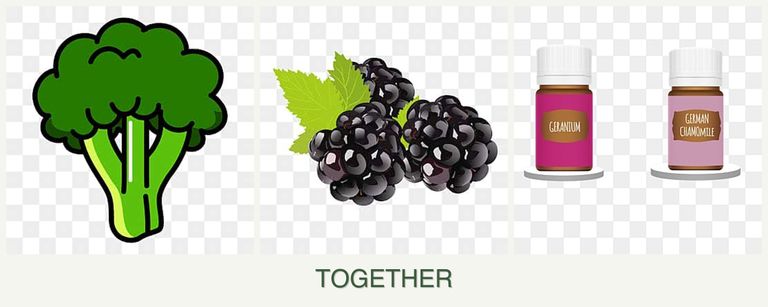 Can you plant broccoli, blackberries and geraniums together?