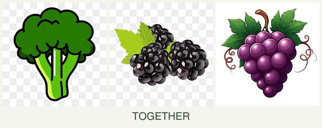 Can you plant broccoli, blackberries and grapes together?