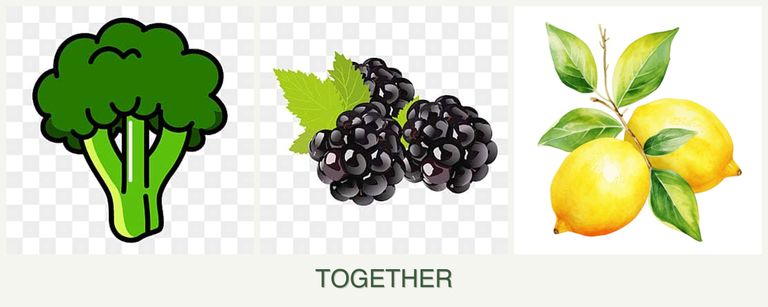 Can you plant broccoli, blackberries and lemons together?