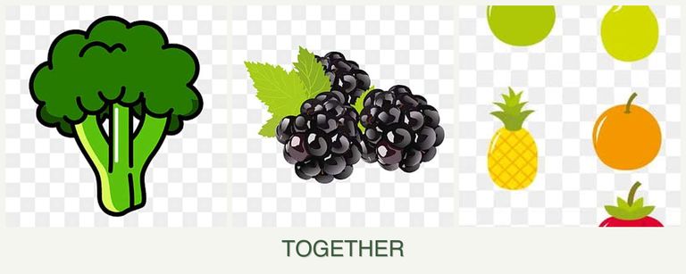 Can you plant broccoli, blackberries and pears together?