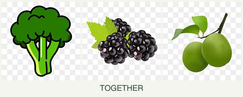 Can you plant broccoli, blackberries and plums together?