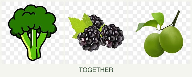 Can you plant broccoli, blackberries and plums together?