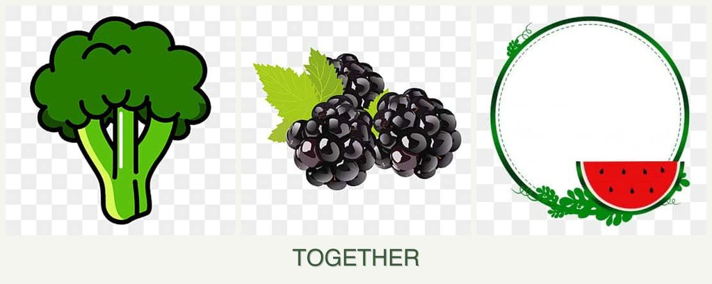 Can you plant broccoli, blackberries and watermelons together?
