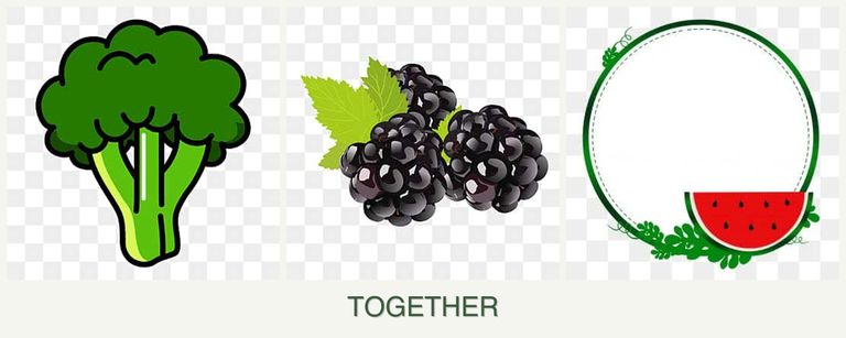 Can you plant broccoli, blackberries and watermelons together?