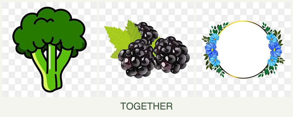 Can you plant broccoli, blackberries and zinnias together?