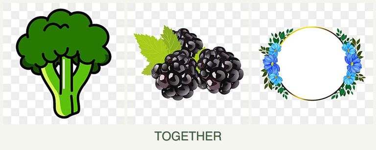 Can you plant broccoli, blackberries and zinnias together?
