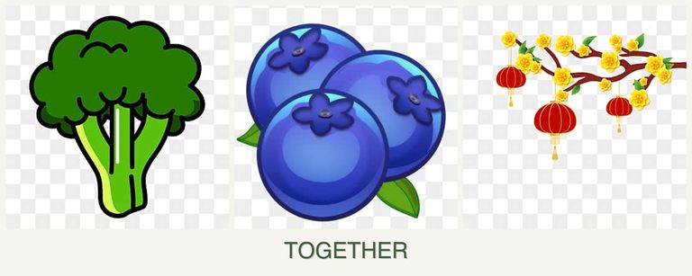 Can you plant broccoli, blueberries and apricots together?