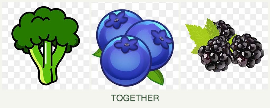 Can you plant broccoli, blueberries and blackberries together?