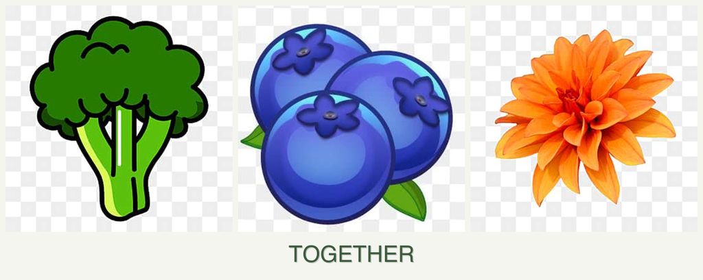 Can you plant broccoli, blueberries and dahlias together?