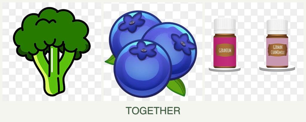 Can you plant broccoli, blueberries and geraniums together?