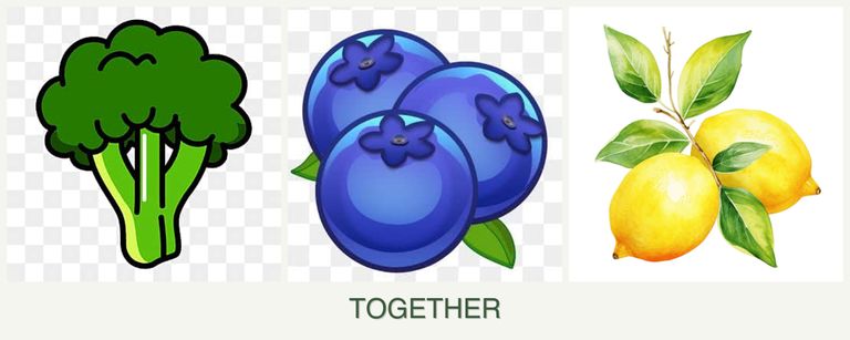 Can you plant broccoli, blueberries and lemons together?
