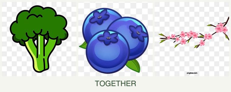 Can you plant broccoli, blueberries and peaches together?