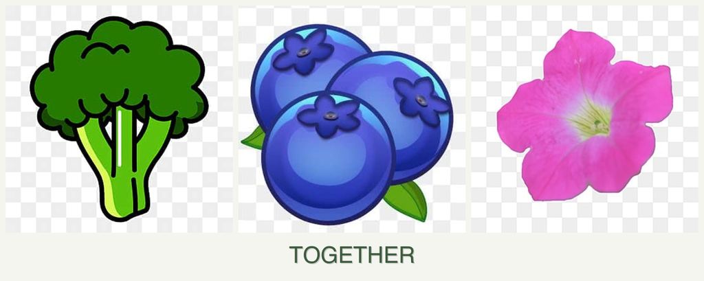 Can you plant broccoli, blueberries and petunias together?
