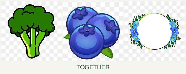 Can you plant broccoli, blueberries and zinnias together?